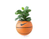 Basketball Planter - Pflanzentopf OG - julescustomizedkicks