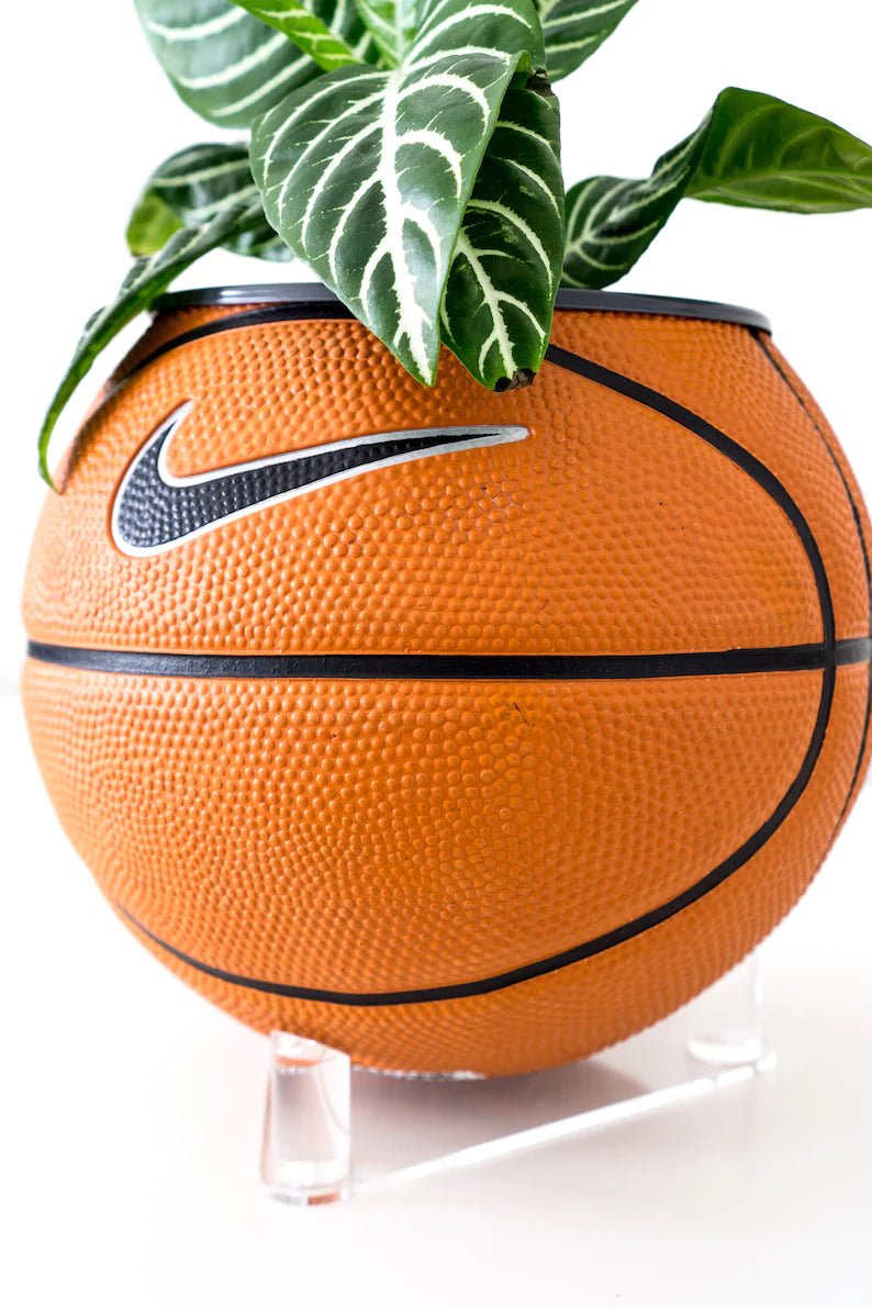 Basketball Planter - Pflanzentopf OG - julescustomizedkicks