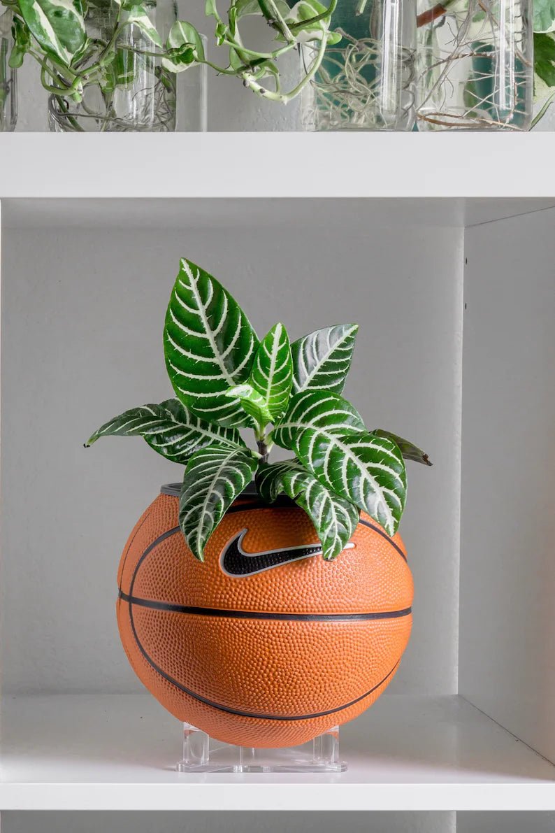 Basketball Planter - Pflanzentopf OG - julescustomizedkicks