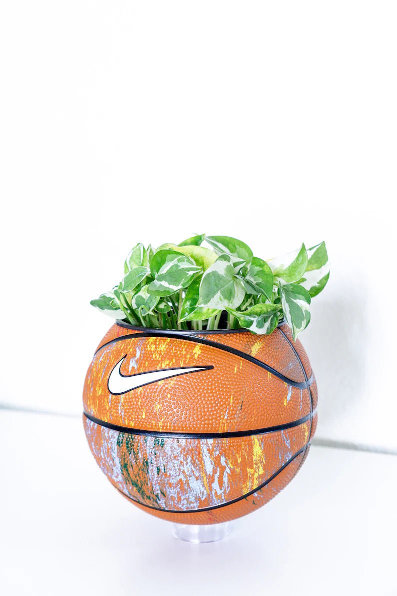 Basketball Planter - Pflanzentopf OG Farbtropfen - julescustomizedkicks