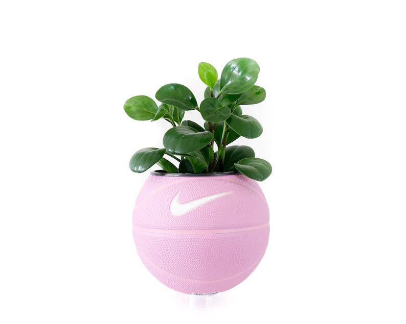 Basketball Planter - Pflanzentopf Pink - julescustomizedkicks