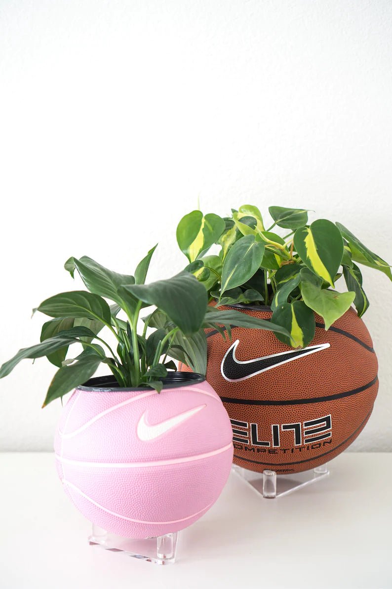 Basketball Planter - Pflanzentopf Pink - julescustomizedkicks